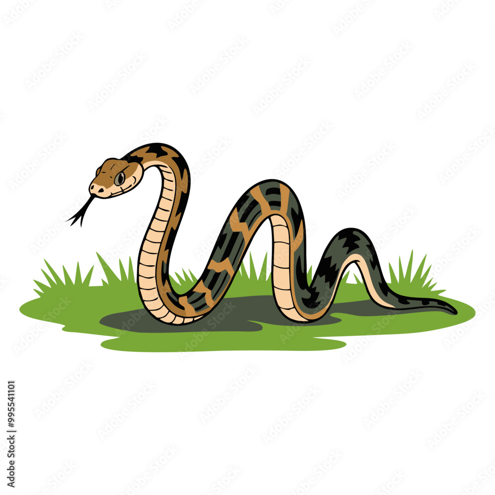 Fototapeta premium A vector cartoon of a snake.