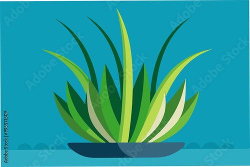 Nice water Vallisneria plant vector art illustration photo