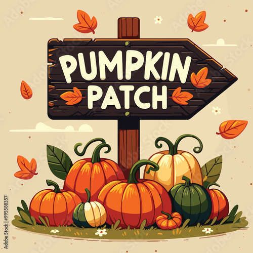Pumpkin patch sign with colorful pumpkins, vector illustration, fall harvest, autumn banner
