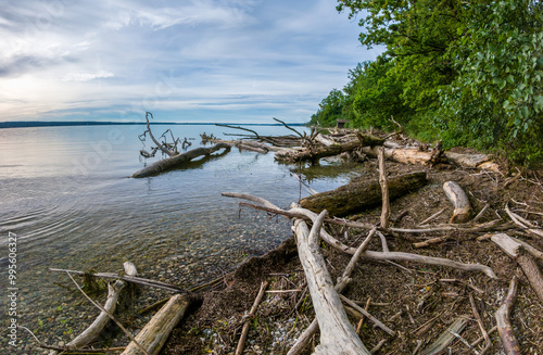 Treibholz nach einem Gewittersturm am Ammersee, Oberbayern, Bayern, Deutschland, Europa photo