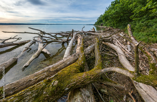 Treibholz nach einem Gewittersturm am Ammersee, Oberbayern, Bayern, Deutschland, Europa photo