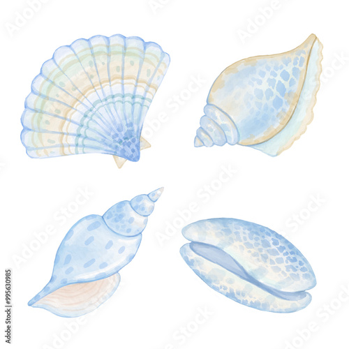 Watercolor clip art with blue shells. Cute watercolor illustration on white background for textile and wrapping paper. Underwater world