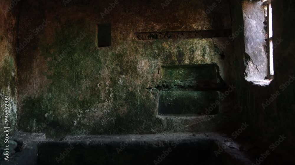 Interior of abandoned dark room with moss-covered walls and window light. Interior of abandoned dark room with moss-covered walls and window light.