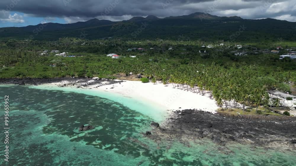 Aerial view of a tropical beach with palm trees, white sand, and volcanic rocks Aerial view of a tropical beach with palm trees, white sand, and volcanic rocks