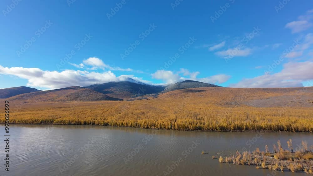 Experience breathtaking aerial views of vast golden fields and serene waters under a bright sky. Nature’s beauty unfolds as drone captures the tranquility of this autumn landscape. Experience breathtaking aerial views of vast golden fields and serene waters under a bright sky. Nature’s beauty unfolds as drone captures the tranquility of this autumn landscape.