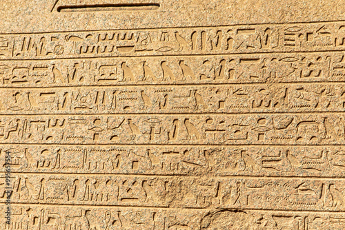 Unearthed in the sacred precinct of the temple of Karnak, the Rosetta Stone of Karnak: A Trilingual Treasury of Karnak offers valuable information on ancient Egyptian hieroglyphs.