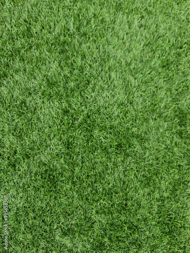 Wallpaper Mural minimalistisches Hintergrundbild - Nahaufnahme eines Kunstrasens Torontodigital.ca