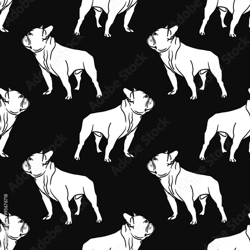 Pattern with French Bulldog. The dog stands and looks proudly. On a black background. Sketch illustration. photo