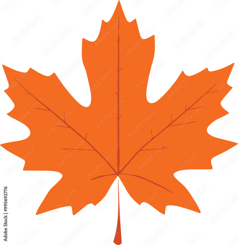 Obraz premium maple leaf isolated on white