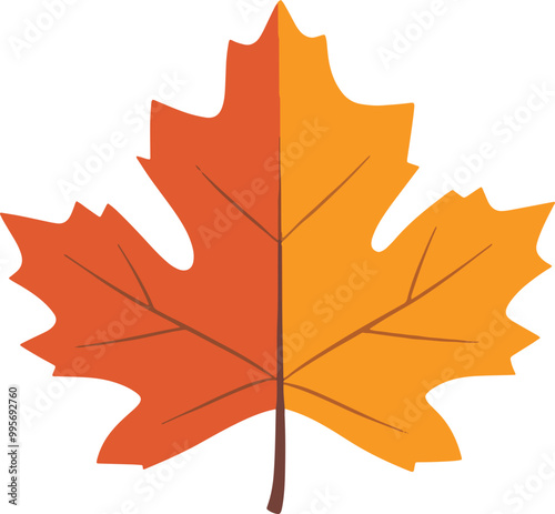 autumn maple leaf