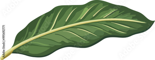 close up of a leaf