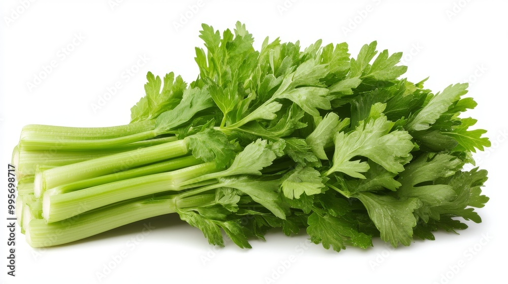 Fresh Green Celery Bunch on a White Background Ready for Cooking or Snacking in the Kitchen Fresh Green Celery Bunch on a White Background Ready for Cooking or Snacking in the Kitchen