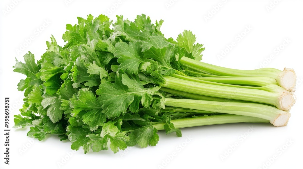 Fresh Green Celery Stalks Arranged on a White Background, Ready for Cooking or Snacking Fresh Green Celery Stalks Arranged on a White Background, Ready for Cooking or Snacking