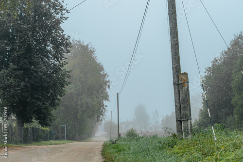 A country road lined with tall trees and overgrown grass covered in fog. Power lines stretch above the road, adding an infrastructural element to the tranquil rural setting. The soft mist creates a ca photo