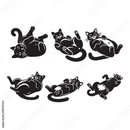 Bombay cat Belly Up Svg