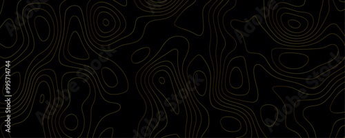 Abstract Topographic Landscape Illustration Featuring Seamless Geometric Contours and Wavy Patterns for a Dark Adventure Concept
