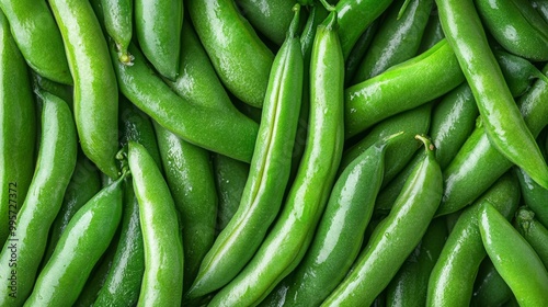 Fresh Green Peas Harvested From the Garden Ready for Cooking or Snacking in Summer