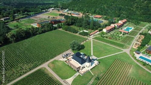 A drone camera soaring above the lush vineyards of Napareuli, in Georgia’s northeastern region photo