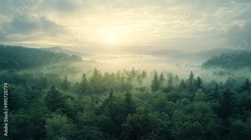 A serene sunrise over a mist-covered forest with sunlight breaking through clouds, casting a warm glow over the lush green treetops.