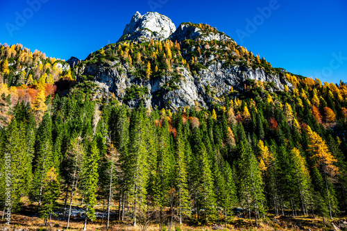 Autumn in Val Sesis. Explosion of colors in the Piave river valley. Sappada photo