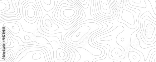 Wallpaper Mural Elegant Geometric Topographic Map Illustration Featuring Organic Contour Lines and Light Relief Patterns for Wallpaper Design
 Torontodigital.ca