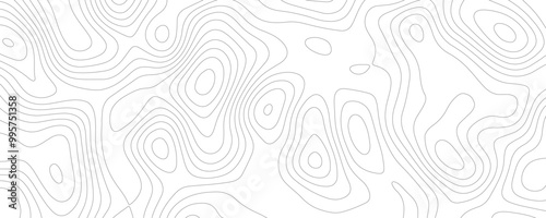 Abstract Geometric Topo Art Featuring Organic Contour Lines and Textured Mountain Relief for an Elegant Business Template 