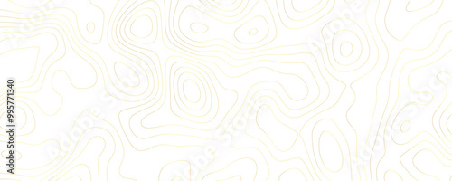 Abstract Topography Design Highlighting Flowing Terrain Patterns and Geometric Curved Contours in a Wide Landscape Format 