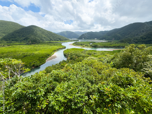 mangrove forest and mountains in sunshine photo