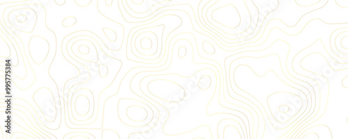 Premium Topographic Vector Illustration Featuring Organic Terrain Patterns and Flowing Contour Lines on a Wide Landscape 