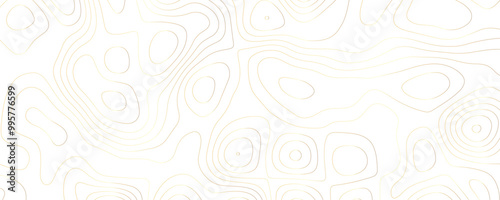 Luxury Abstract Topo Map Featuring Geometric Contour Patterns and Organic Terrain Curves in a Wide Landscape Design 