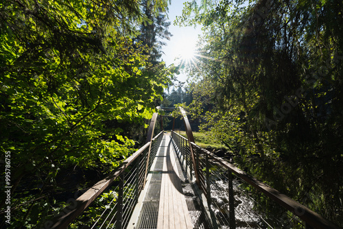 Nature of Estonia, bridge over the Ahja river in the forest in Suur Taevaskoja. Autumn sunny day. photo