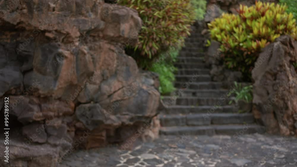 Defocused image of stone steps surrounded by lush greenery, rocks, and vegetation in lanzarote, spain, depicting a serene outdoor setting. Defocused image of stone steps surrounded by lush greenery, rocks, and vegetation in lanzarote, spain, depicting a serene outdoor setting.