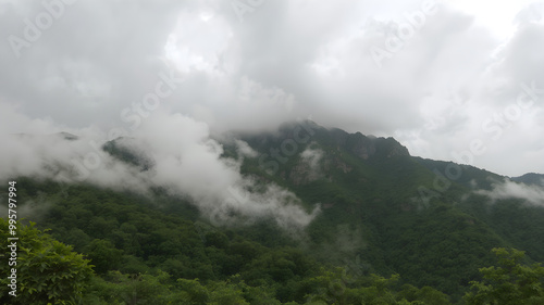 Misty Mountains with Lush Greenery and Clouds