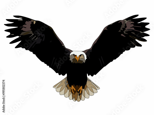 Photography Portrait sketch of a flying eagle on a white background