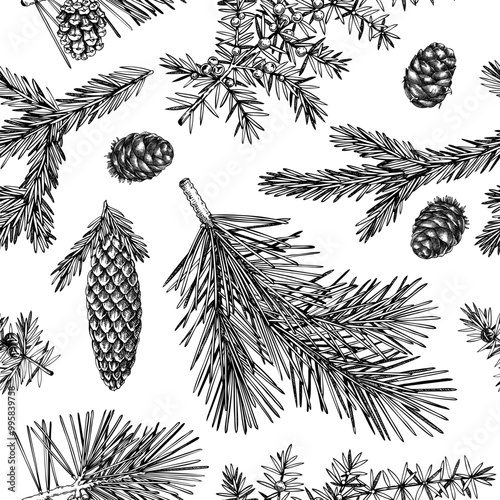 Winter garden seamless pattern. Christmas background. Conifer tree sketches. Hand-drawn vector illustration. NOT AI generated