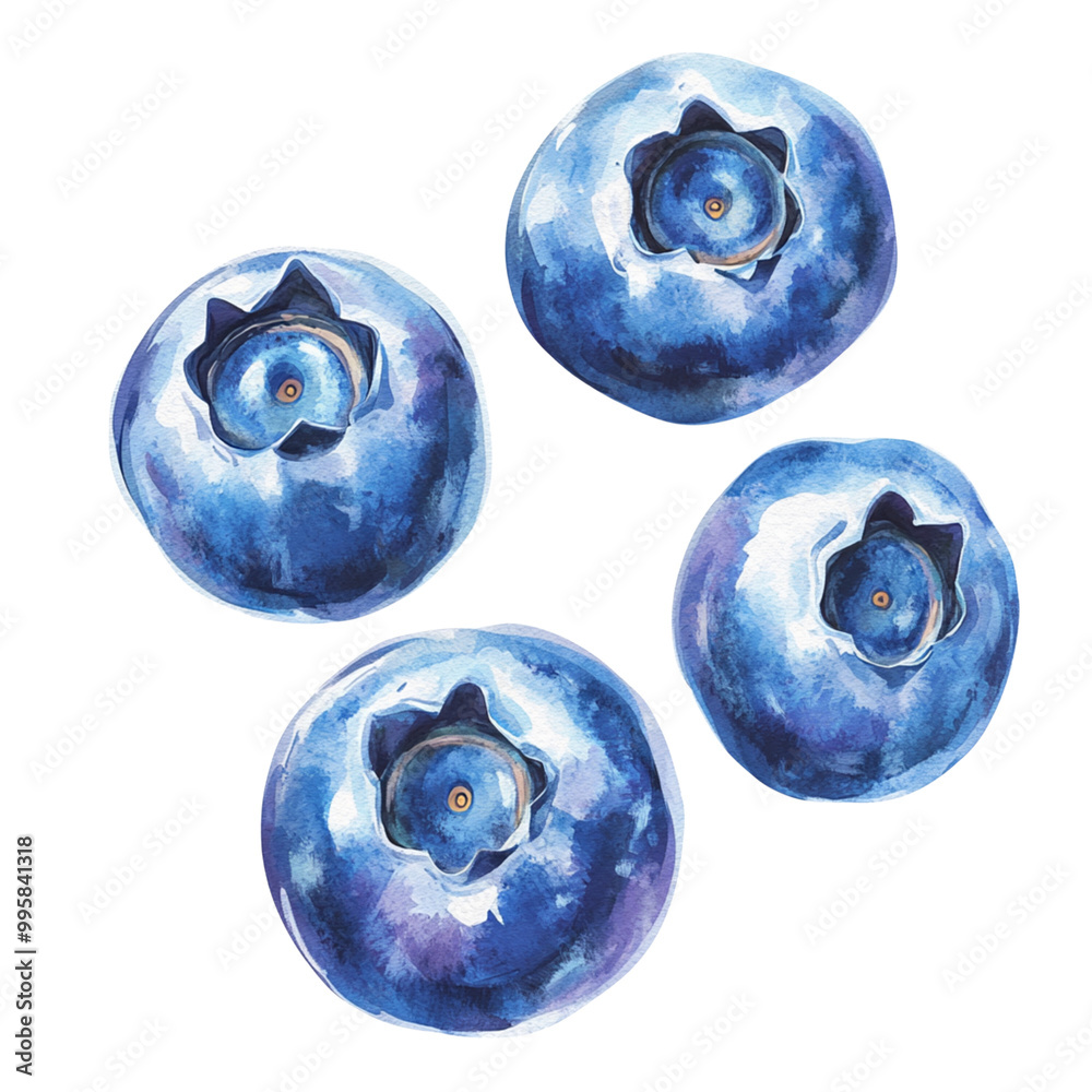 blueberries isolated on white background blueberries isolated on white background