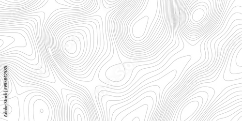 Transparent PNG Topographic line map. Modern design with White background with topographic wavy pattern design.	