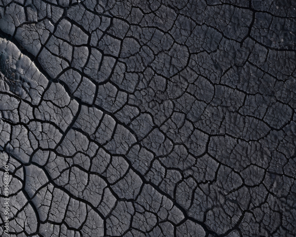 The black surface looks rough and cracked. The black surface looks rough and cracked.
