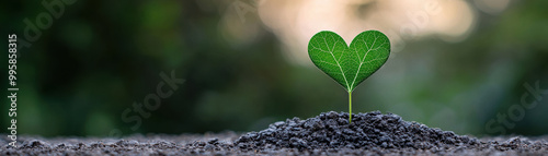 A tiny green plant with heart-shaped leaves emerging from dark soil, symbolizing growth and new beginnings in nature, representing emotional healing and growth, visualizing future possibilities