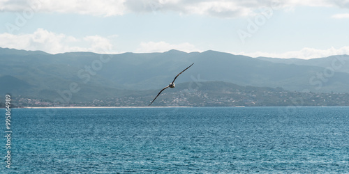 Lone Bird Soars Above Tranquil Waters. Flight of Solitude