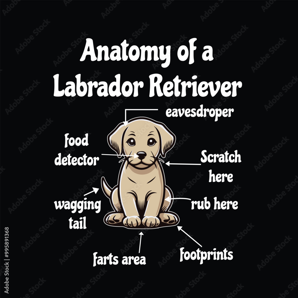 Anatomy Of A Labrador Retriever - Typography T-shirt Design vector. Labrador Retriever Illustration Anatomy Of A Labrador Retriever - Typography T-shirt Design vector. Labrador Retriever Illustration