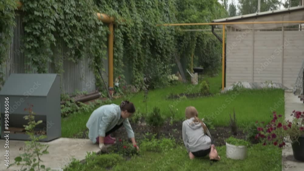Mother and daughter work in the garden, tending to plants in the backyard, harvesting and weeding the beds Mother and daughter work in the garden, tending to plants in the backyard, harvesting and weeding the beds