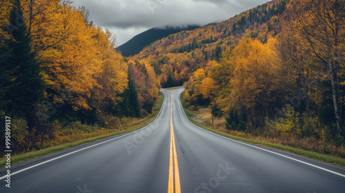 winding road stretches through vibrant autumn landscape, surrounded by trees adorned in golden and orange foliage. scene evokes sense of tranquility and adventure