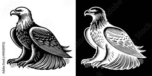 eagle, black and white