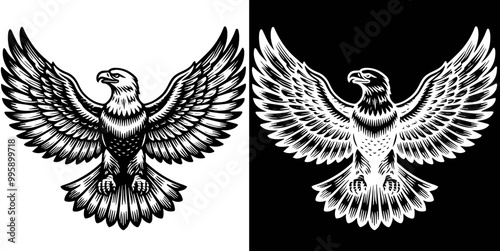 eagle, black and white