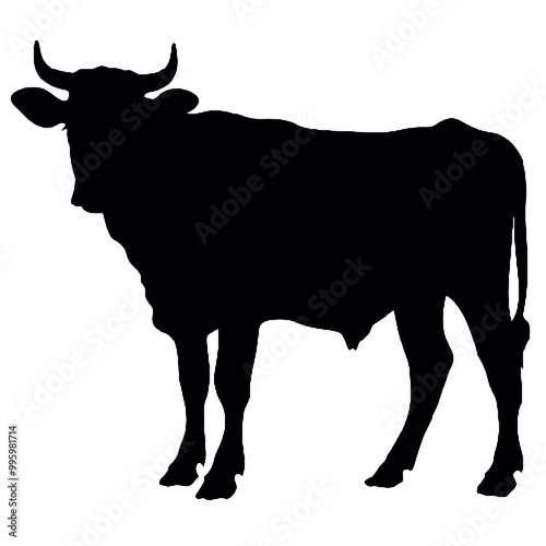 A cow   vector silhouette, a cow with horns ,silhouette isolated white background