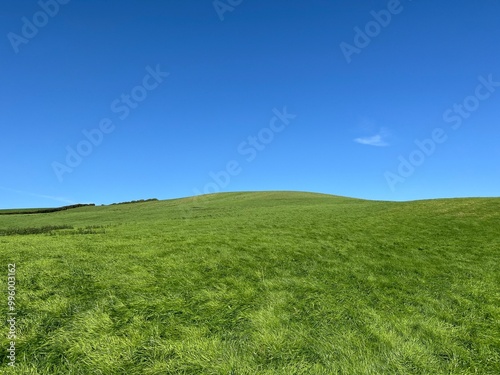 A simple yet striking view of a green hill rolling under a clear blue sky, highlighting the open beauty of nature.