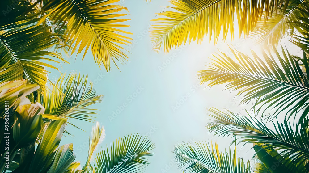 A Low Angle View of Lush Palm Fronds Against a Clear Blue Sky with a Bright Sun Shining Through A Low Angle View of Lush Palm Fronds Against a Clear Blue Sky with a Bright Sun Shining Through