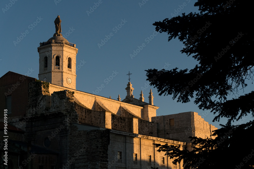Fototapeta premium Cathedral of Valladolid at sunset, Spain.