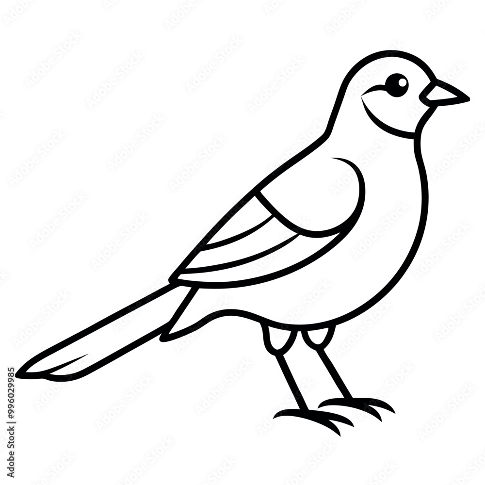 Fototapeta premium A cute bird vector art illustration. 